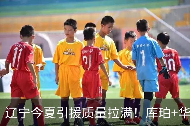 辽宁今夏引援质量拉满！库珀+华子场均42分，克里斯也能稳内线！